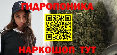 прущие грибы Пугачёв